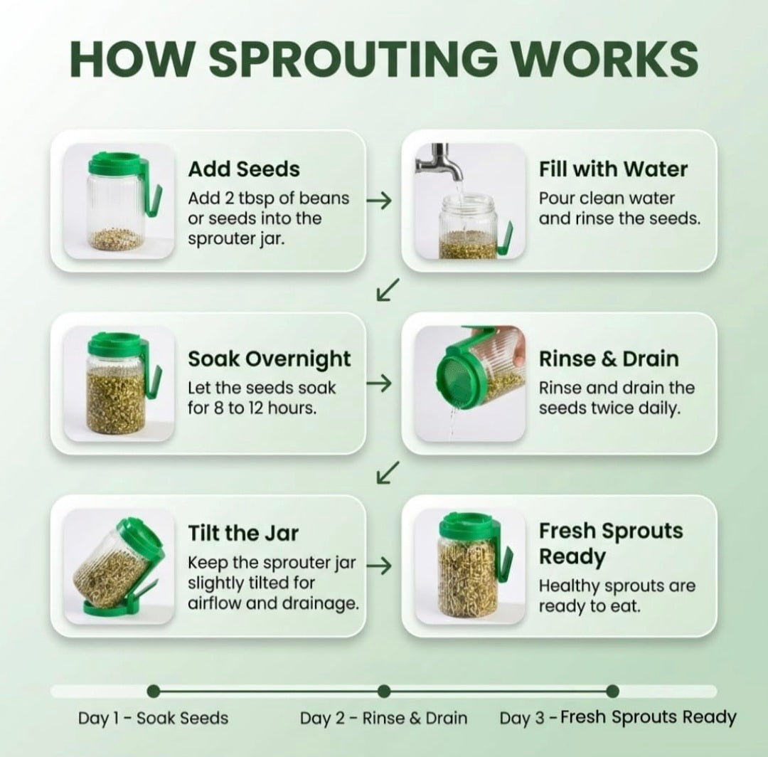 Multi Use Sprouts Maker Jar 720 ML