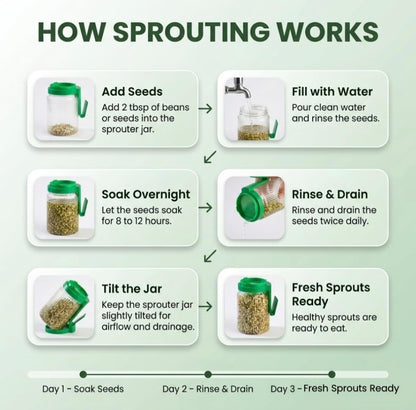 Multi Use Sprouts Maker Jar 720 ML